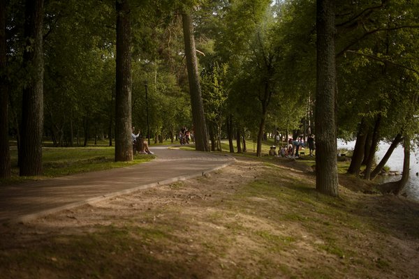 What Are the Best Practices for Seniors Managing Arthritis Pain Without Medication?